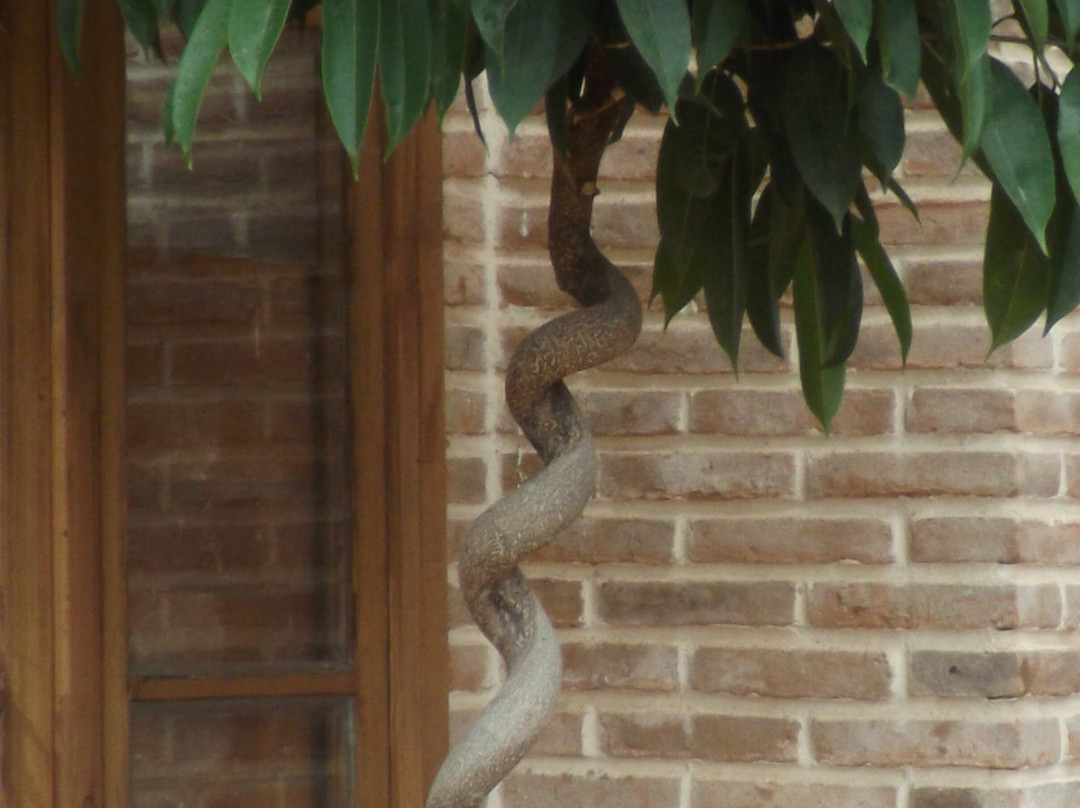 Rasht Bazaar-Rasht必去景点