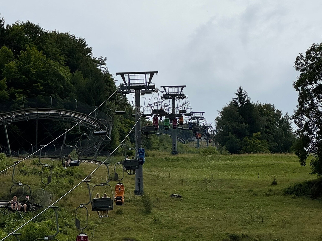 Hasenhorn Coaster Todtnau-托特瑙必去景点