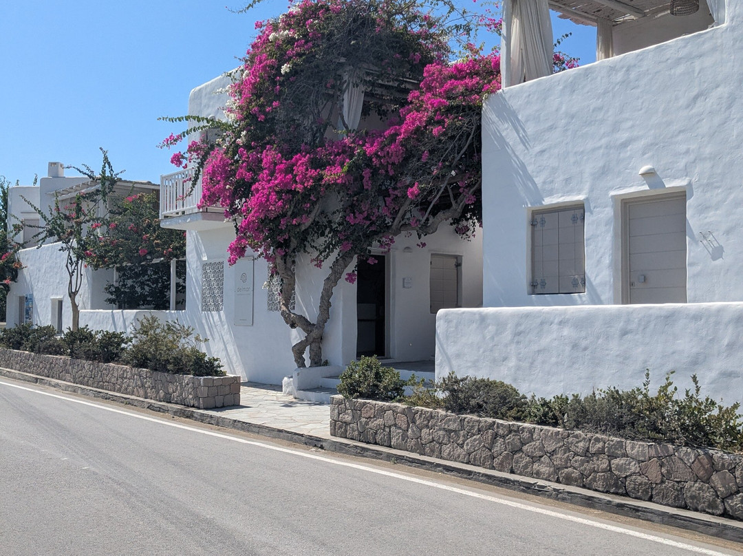 Delmar Apartments & Suites - Delmar Collection主图