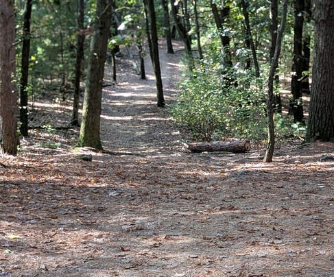 Provin Trails Park-大急流市必去景点