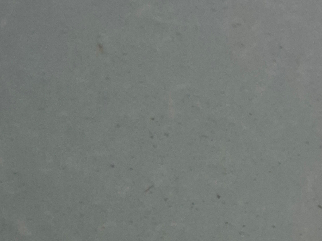 VIP Spa - Stolwijk-Stolwijk必去景点