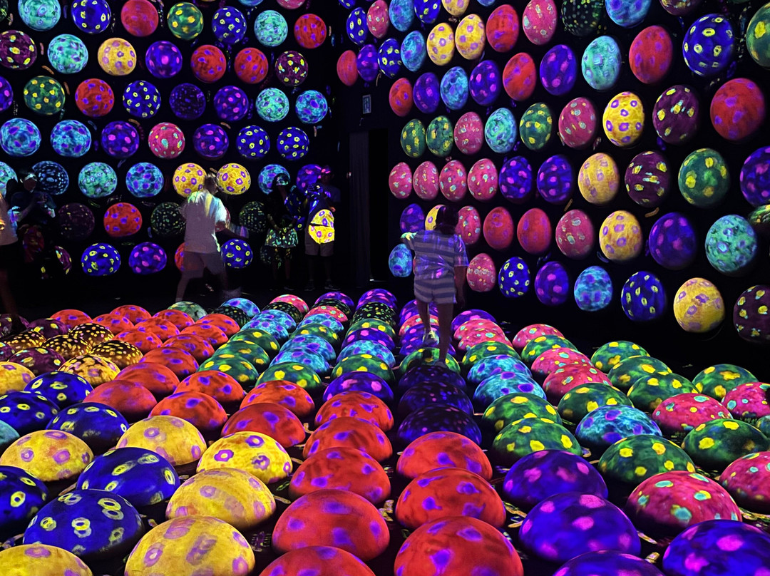 teamLab Planets TOKYO-Toyosu必去景点