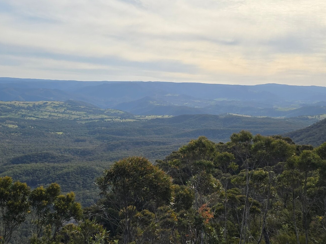 Cahill's Lookout-卡通巴必去景点