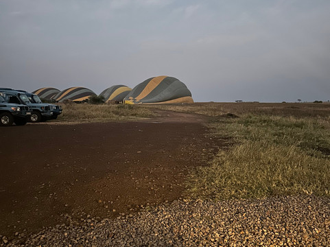 Follow Alice-莫西必去景点