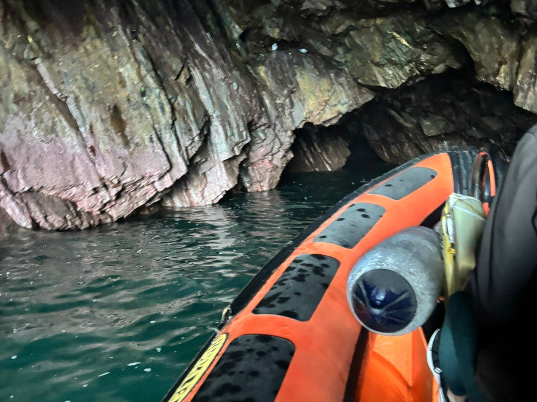 Voyages of Discovery (Ramsey Island)-St. Davids必去景点