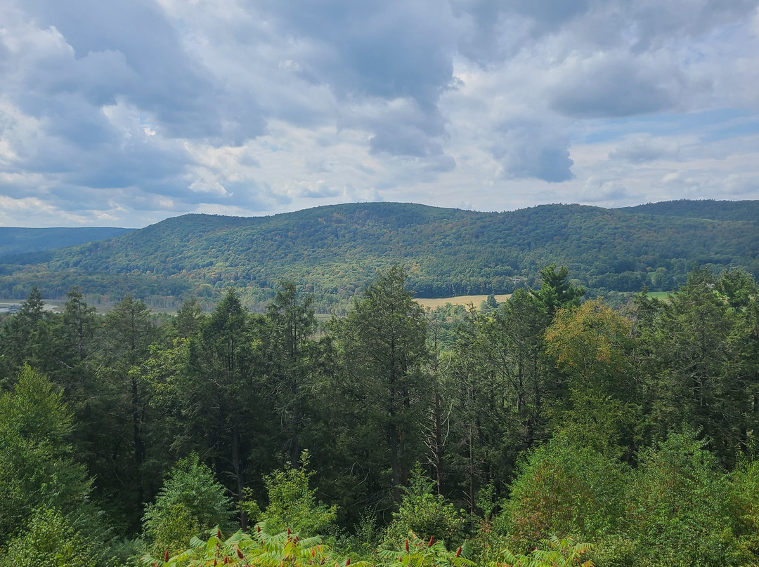 Kennedy Park-莱诺克斯必去景点
