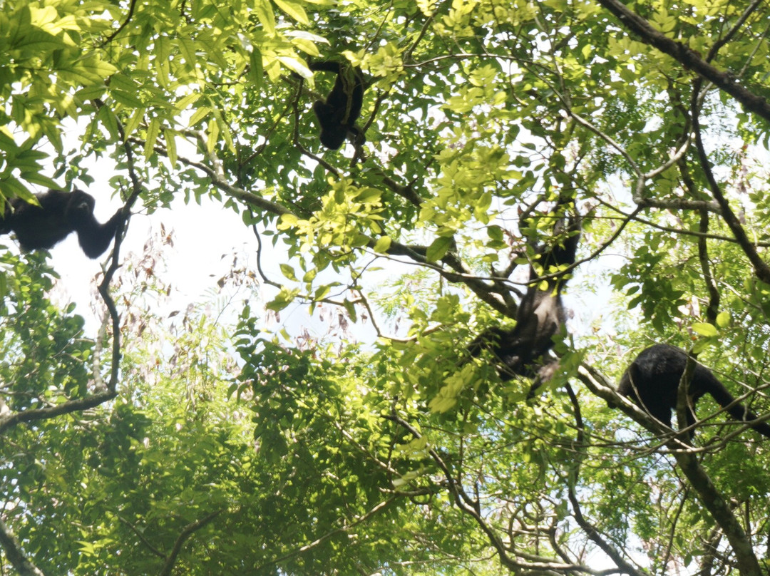 DANTA TOURS-Xpujil Town必去景点