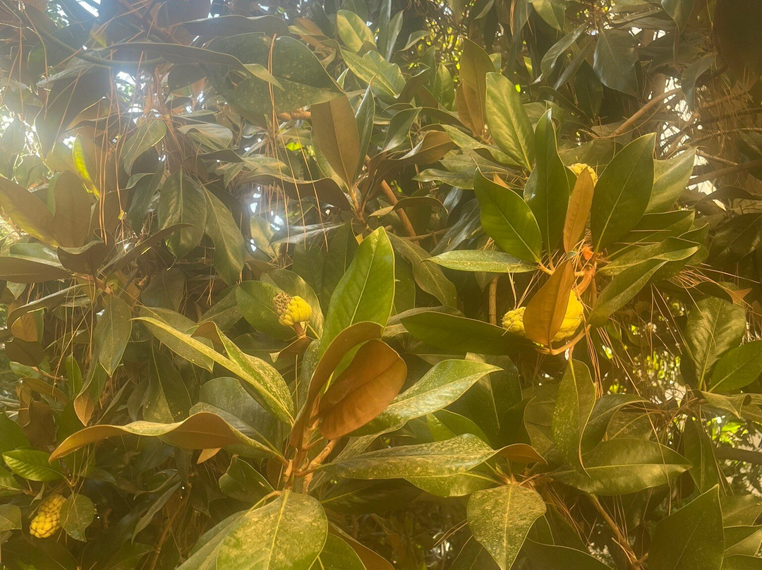 Jardin Botanico de la Universidad de Granada-格拉纳达必去景点