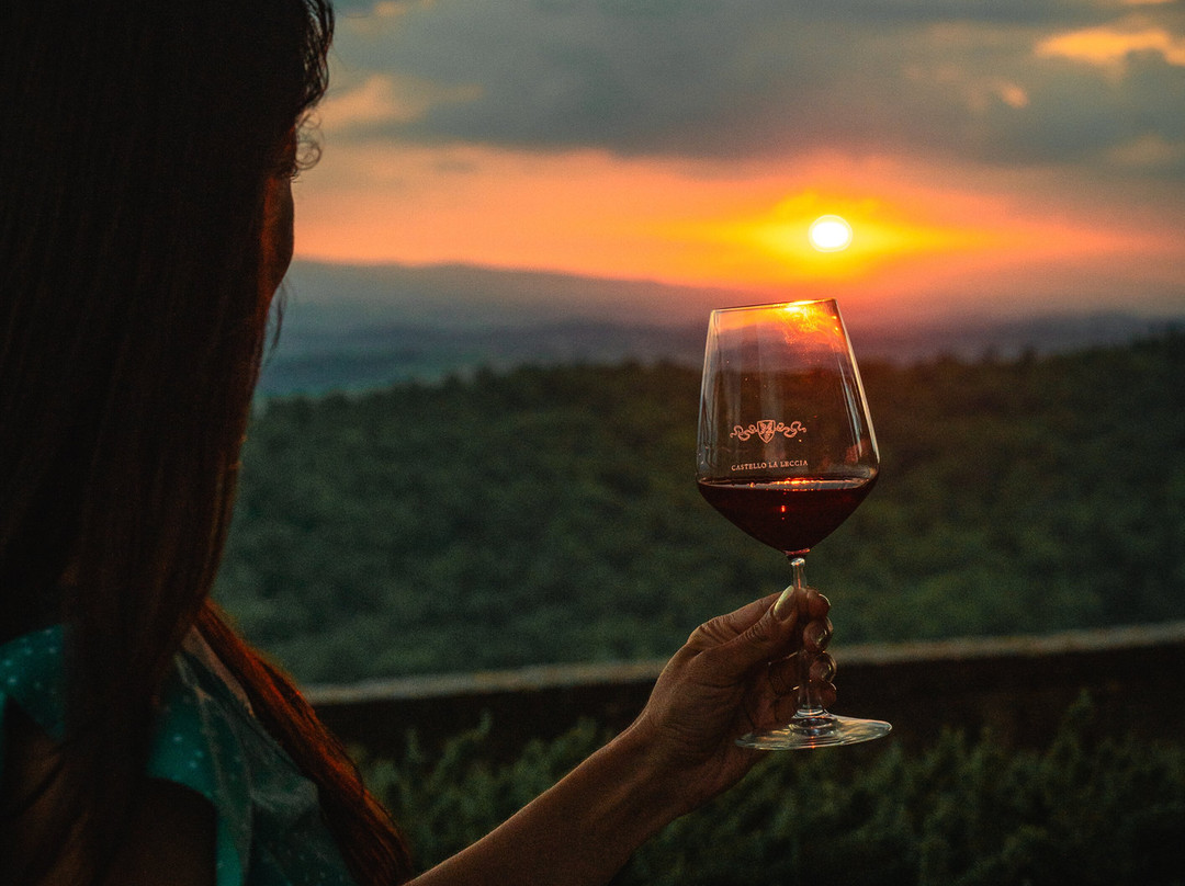 Castello La Leccia-卡斯特利纳－因基安蒂必去景点