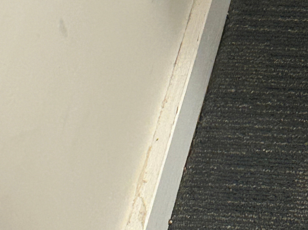 Quality Hotel Sherbourne Terrace主图