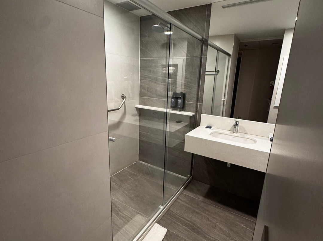 Rio Hotel By Bourbon Campinas主图