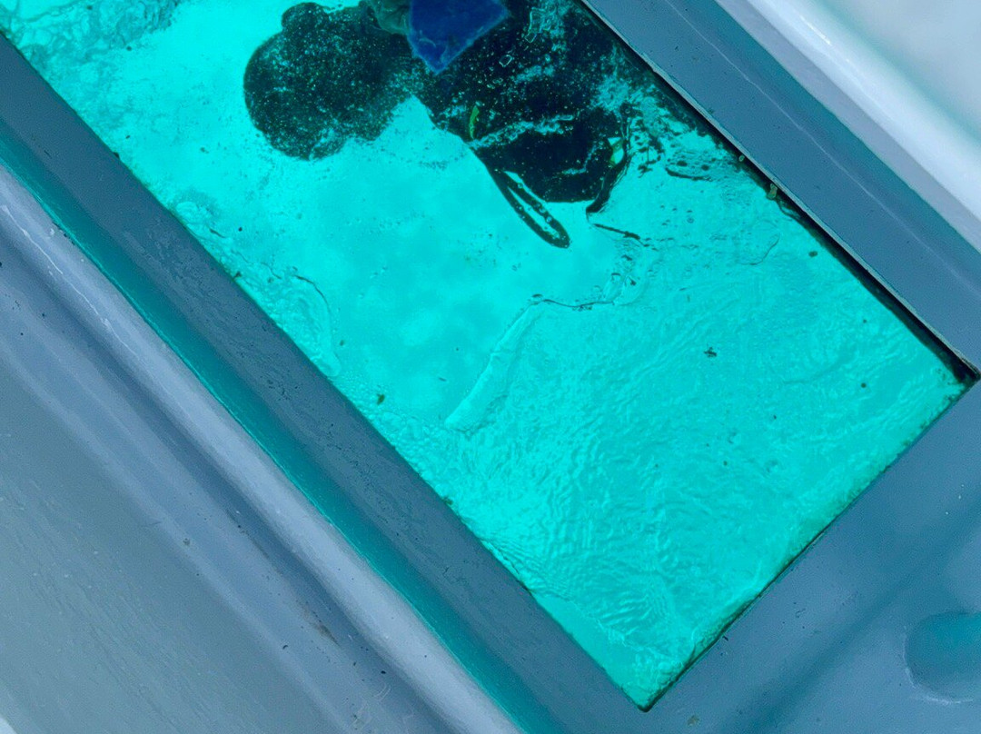 Oceanika Diving Club-伊甸岛必去景点