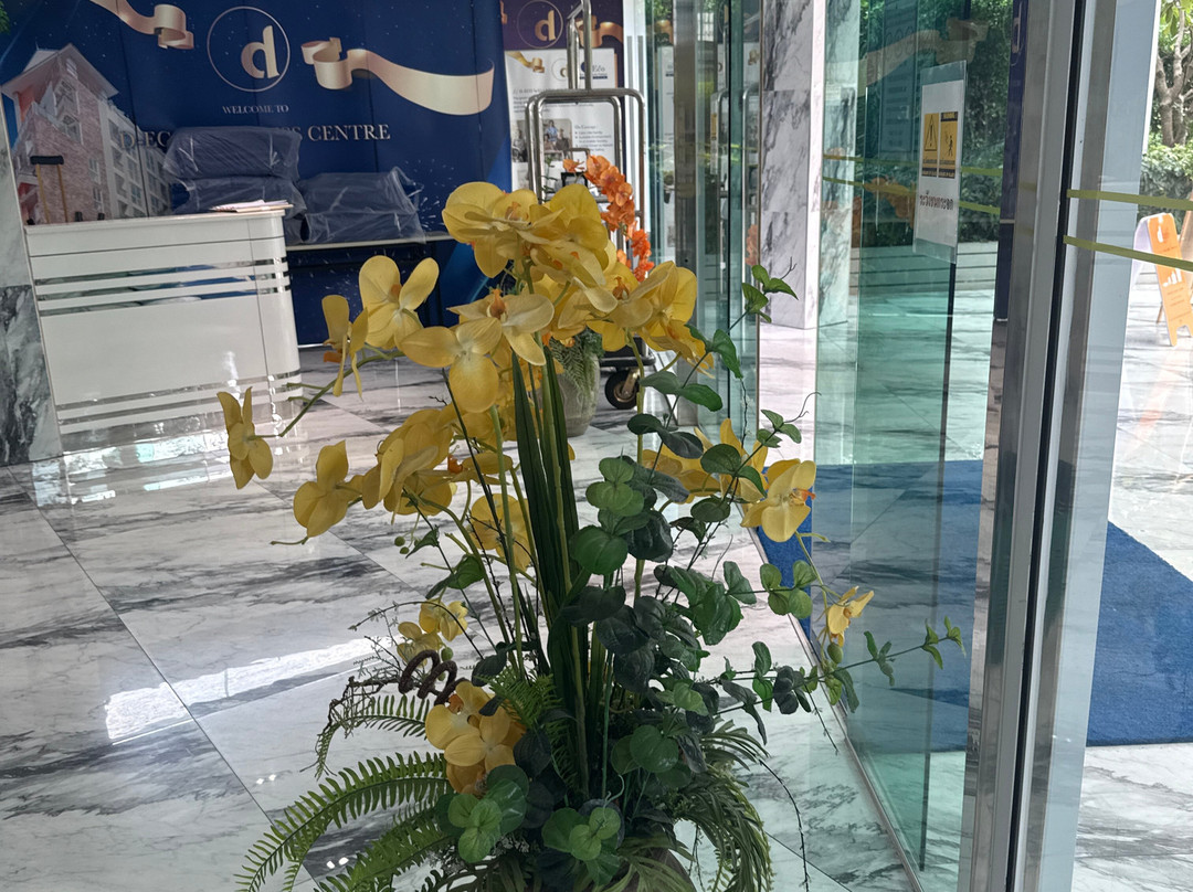 D Eco Wellness Center