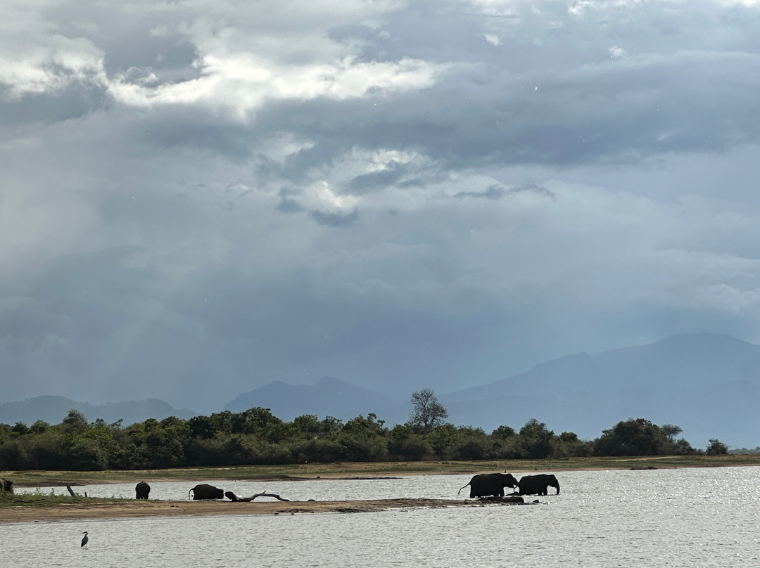 Mahoora Tented Safari Camp Udawalawe主图