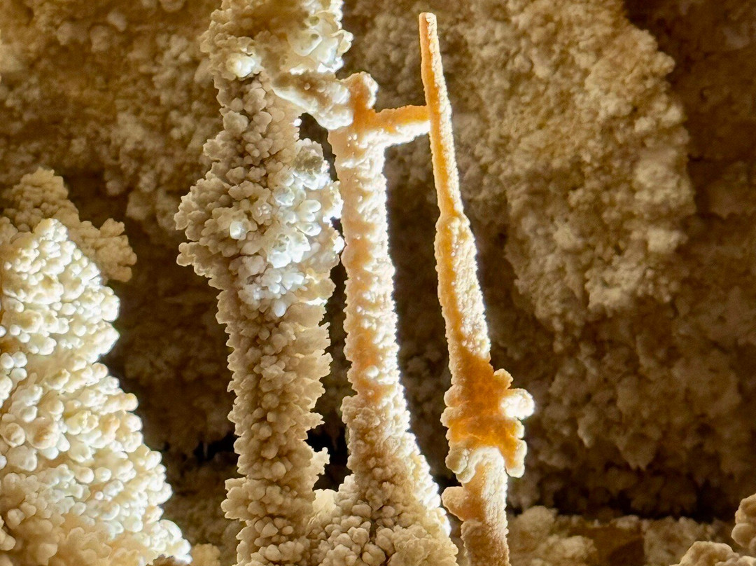 Caverns of Sonora-Sonora必去景点