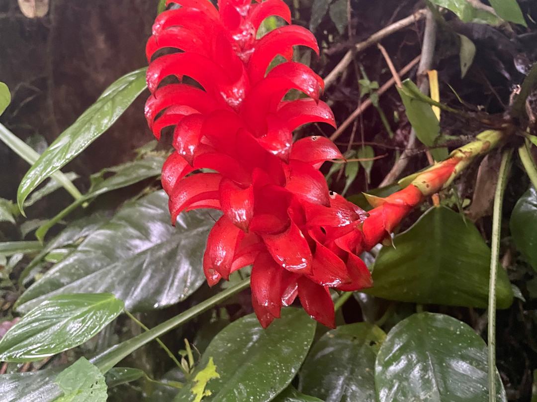 Yellow House Hiking Trails-明多必去景点