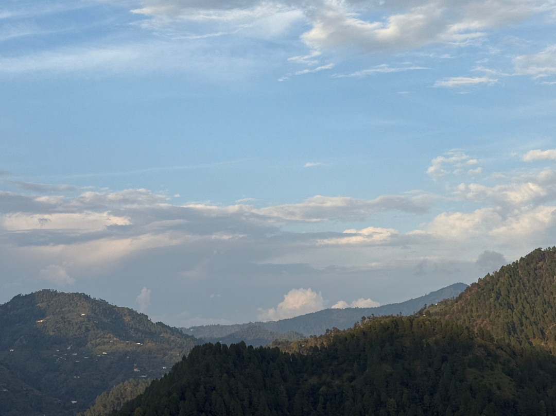 Seclude Ramgarh Willows主图