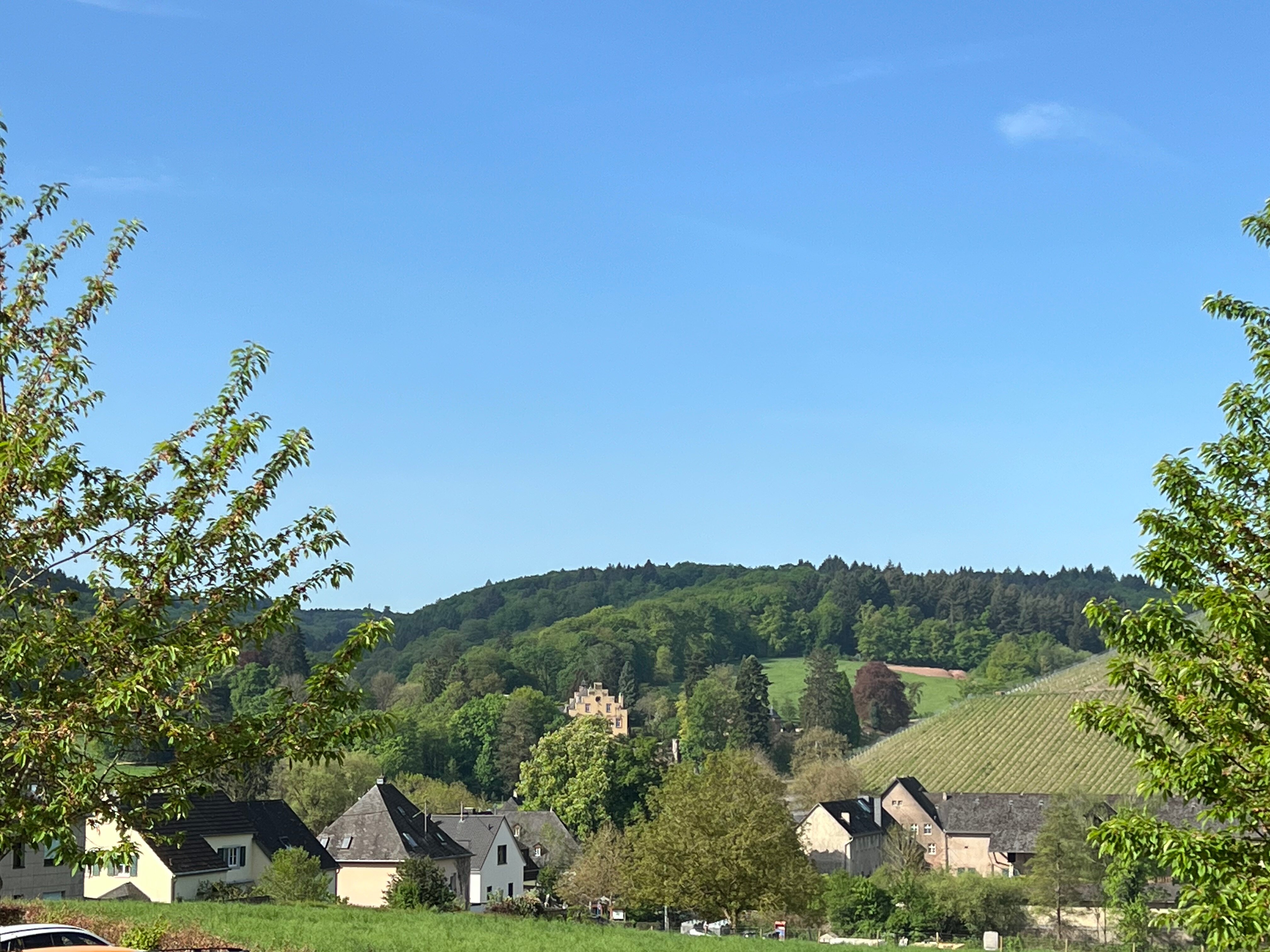 Hotel Weingut Weis-官方