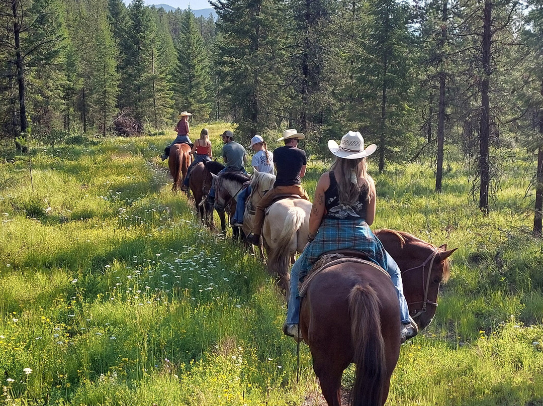 Swan Mountain Outfitters-Swan Lake必去景点