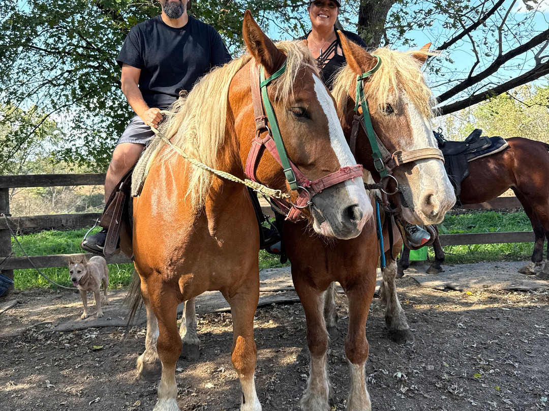 Red Ridge Riding Stable-Mauston必去景点