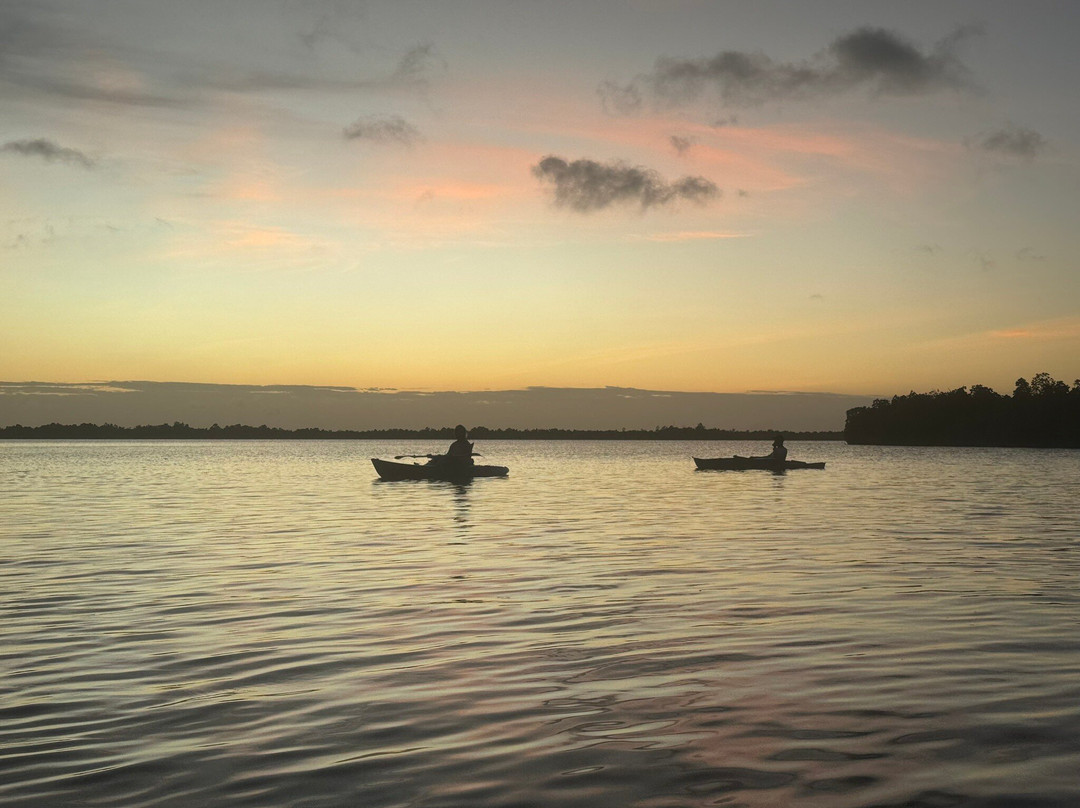 Bwejuu Mangrove Tunnels Kayak-必韦久必去景点