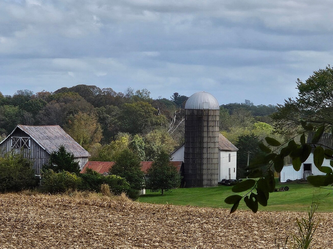Cherry Grove-Woodbine必去景点