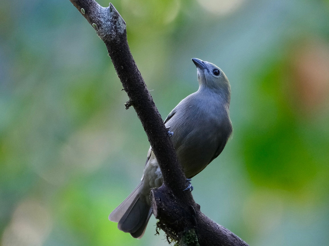 0S3 Private Tours-哈科必去景点