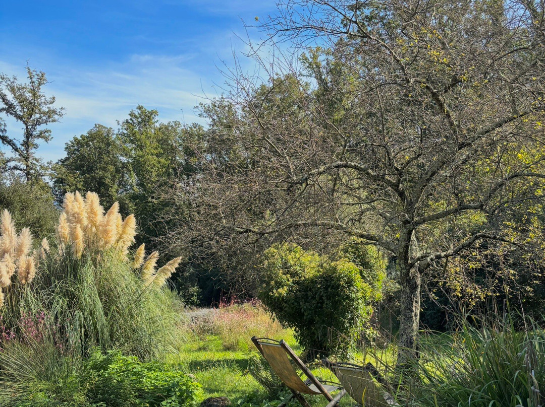 Terme di Sassetta-Sassetta必去景点