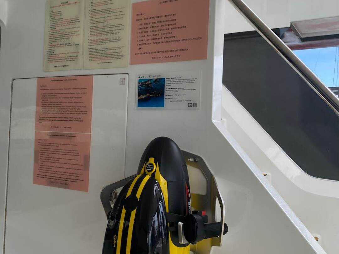 Discover Catamaran - Day Tours-他朗必去景点