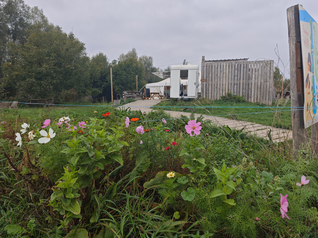 Les Faiseurs de Bateaux-圣奥梅尔必去景点