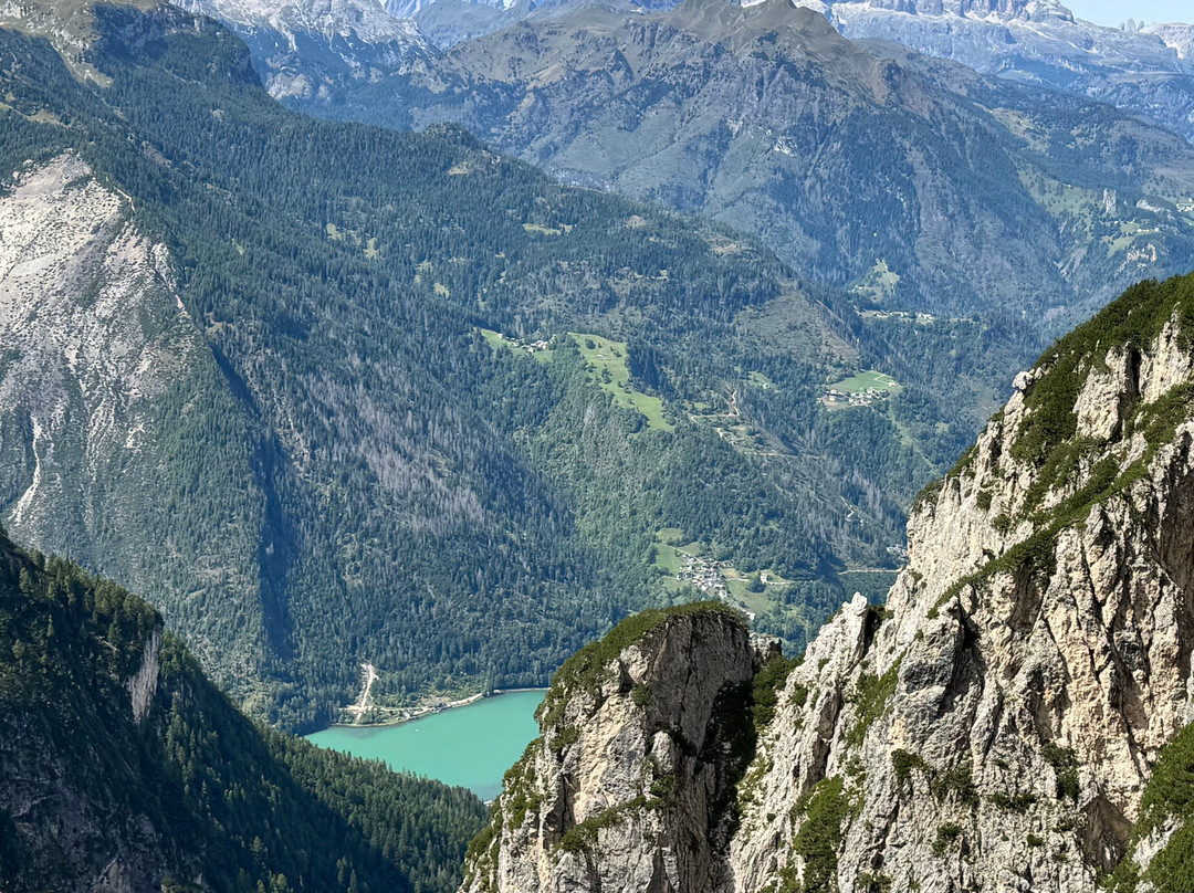 Pygmy Elephant-罗亚尔奥克必去景点