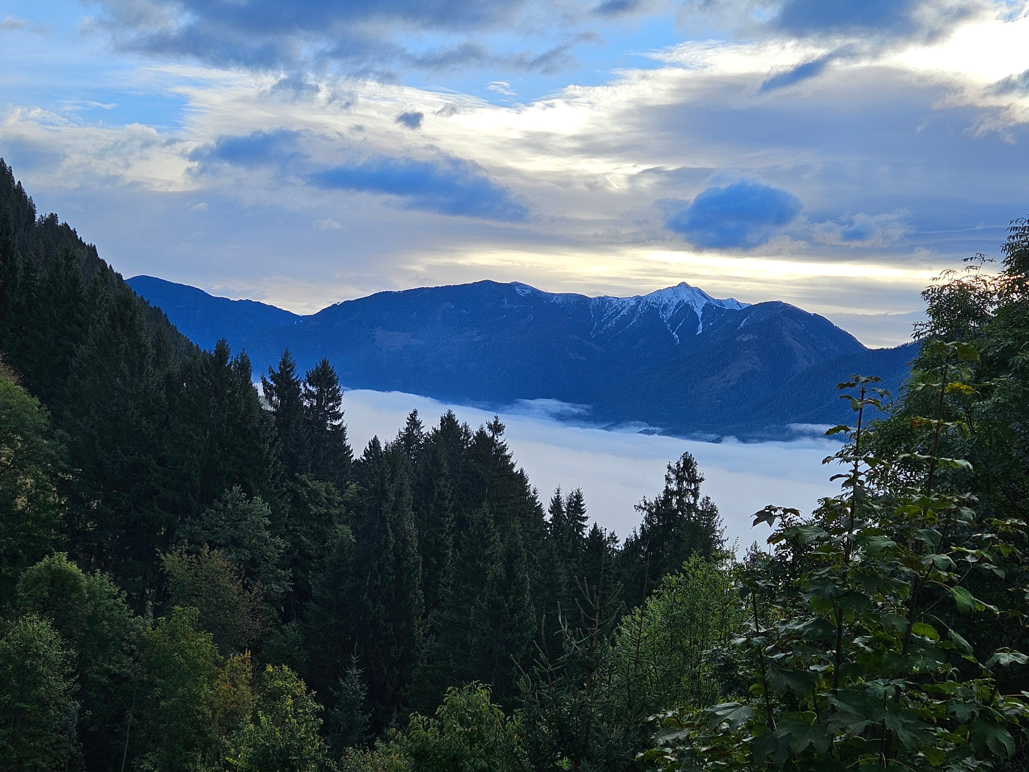 Waldpension-Gasthof Ranner-酒店景观