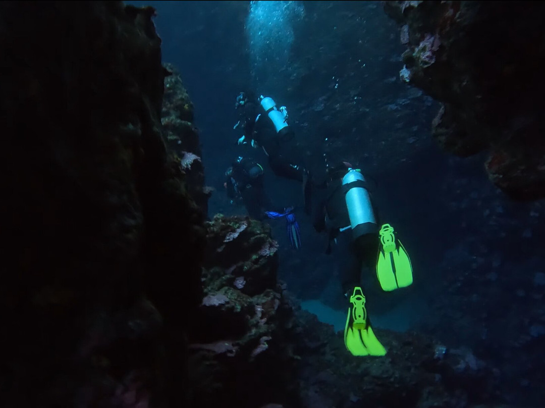 Blue Adventures Diving-干尼亚必去景点