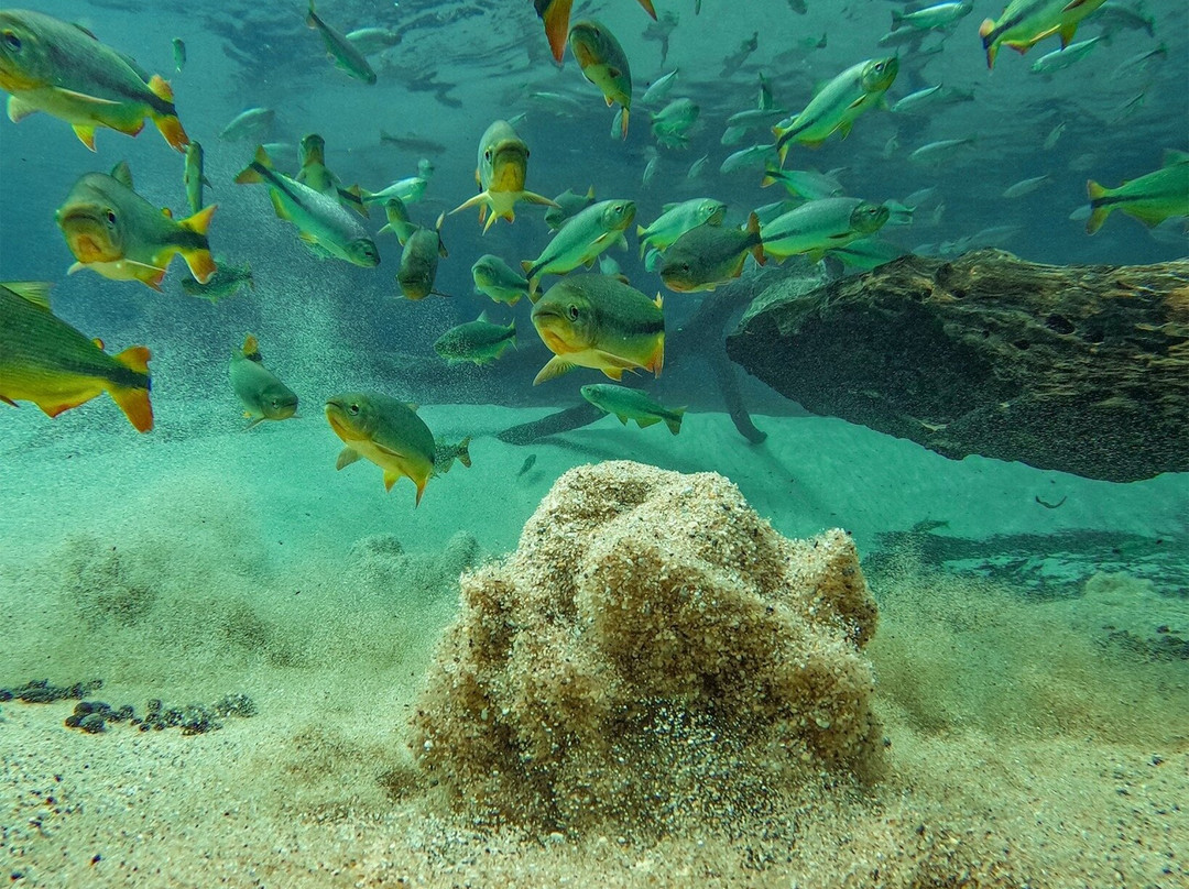 Recanto Ecologico Rio da Prata-博尼图必去景点