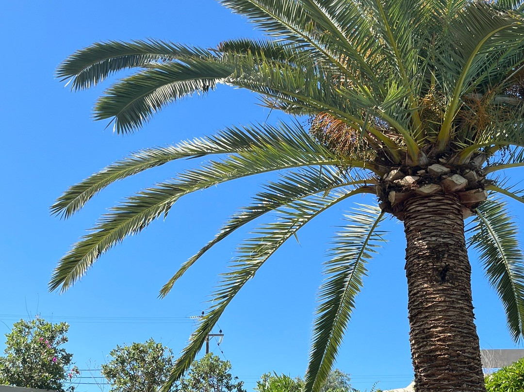 Alfa Apartments主图