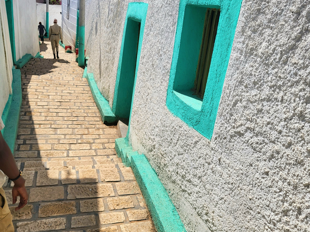 Bini Harar Tours-哈勒尔必去景点