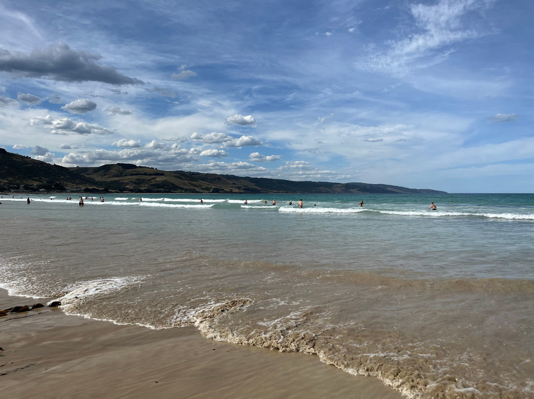 Apollo Bay Beach-阿波罗湾必去景点