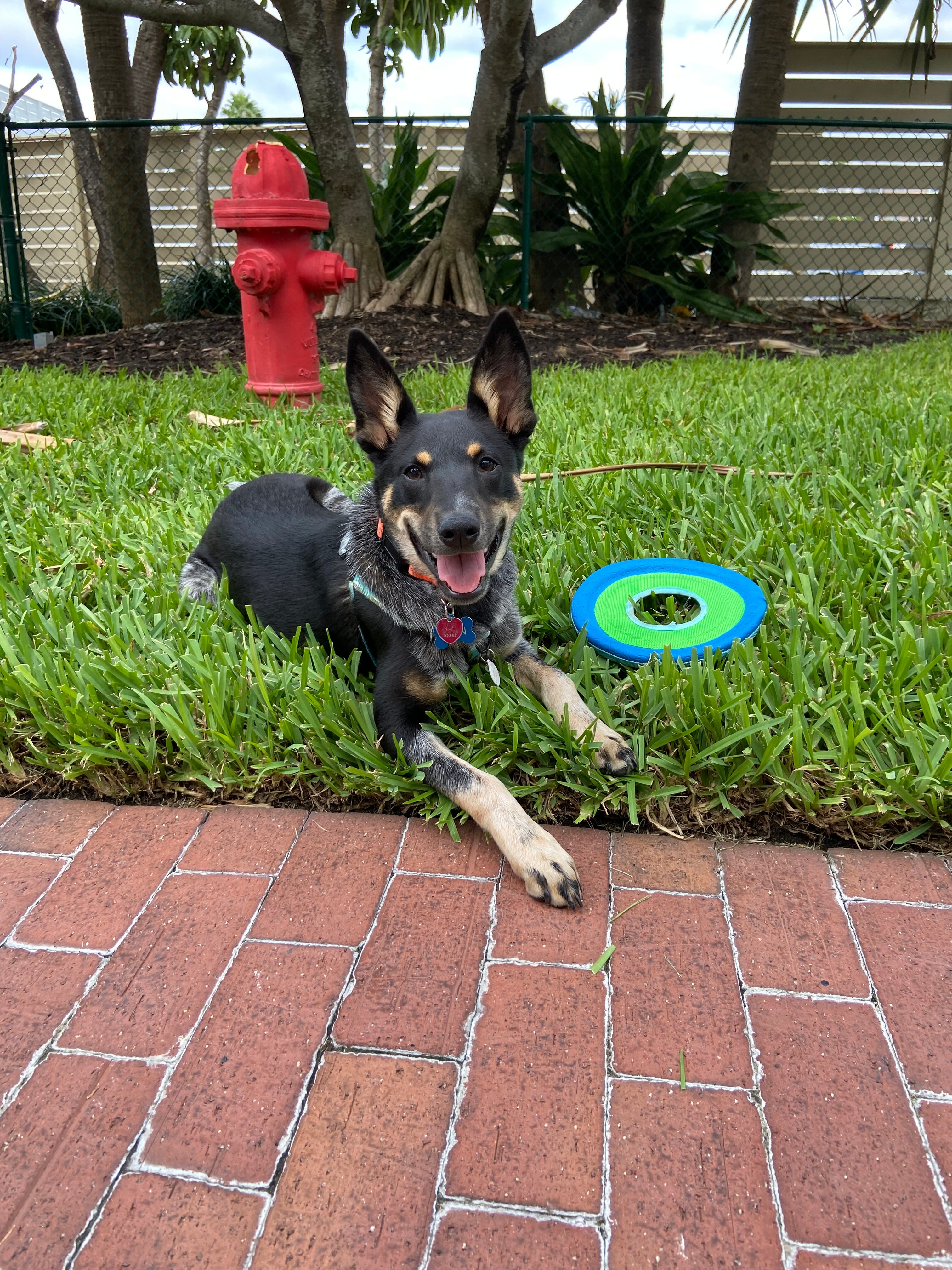 贸易风岛大酒店-浴室