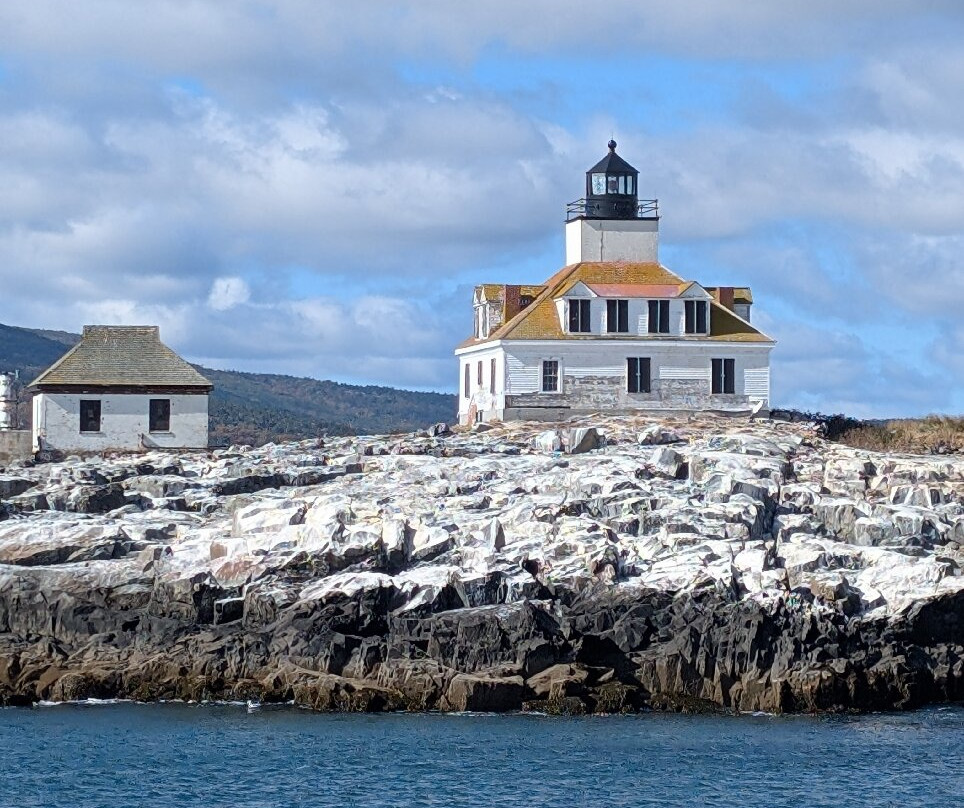 Bar Harbor Whale Watch Co.-巴港必去景点