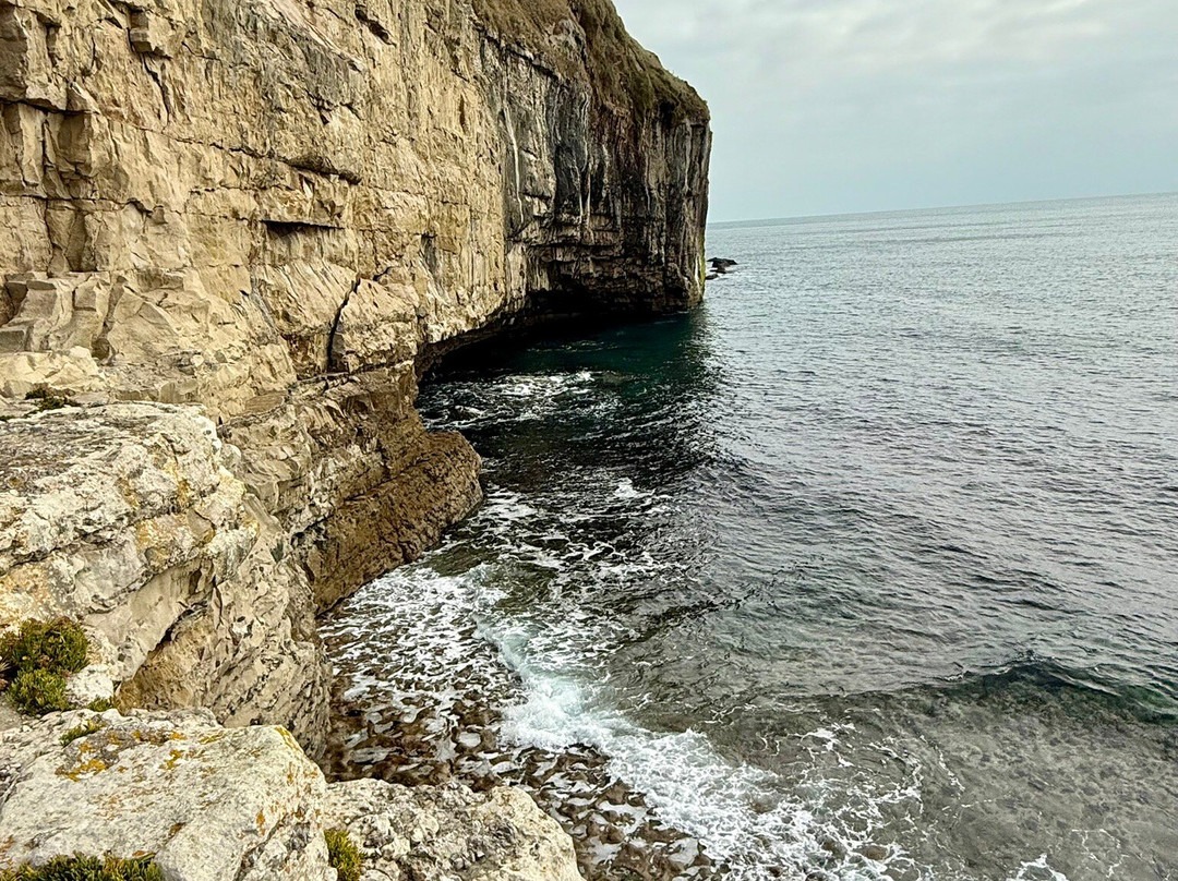 Dancing Ledge-Langton Matravers必去景点