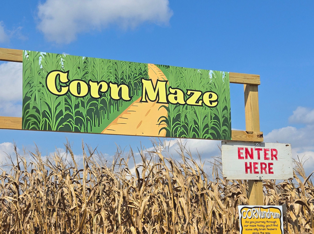 Lyon Family Farms-Taft必去景点