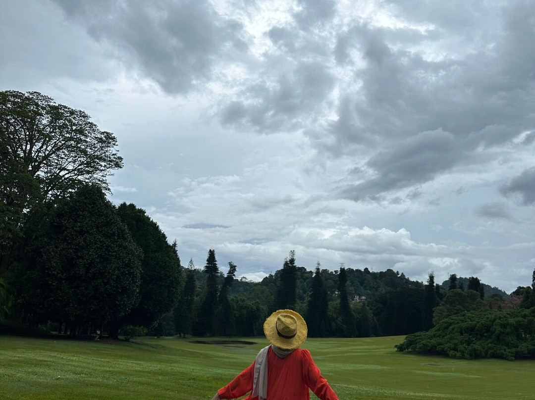 Comfort Travel & Tours-科伦坡必去景点