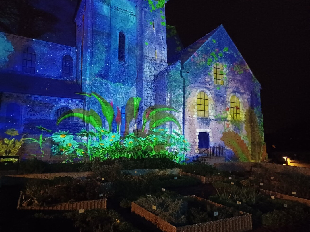 Chartres en Lumieres-沙特尔必去景点