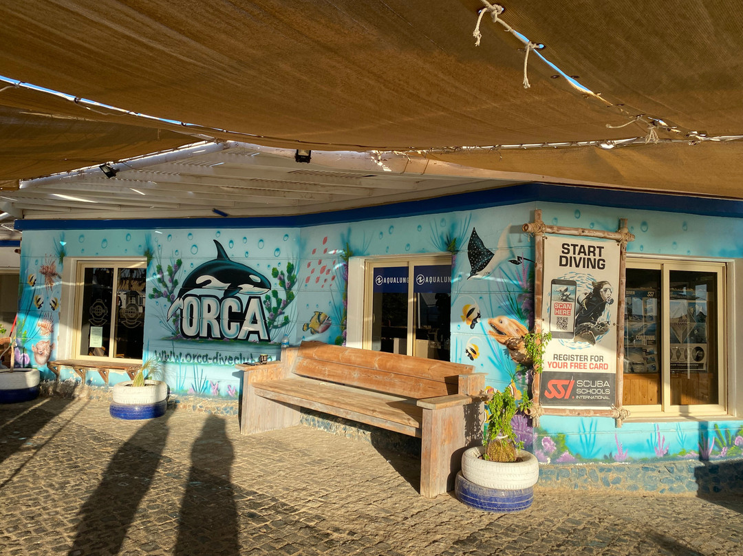 ORCA Dive Club Coral Garden-Safaga必去景点