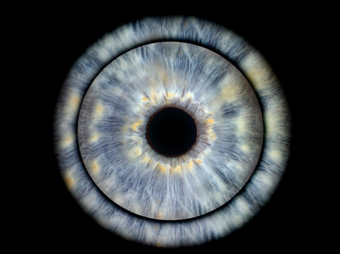 Vizualeyes Leeds-利兹必去景点