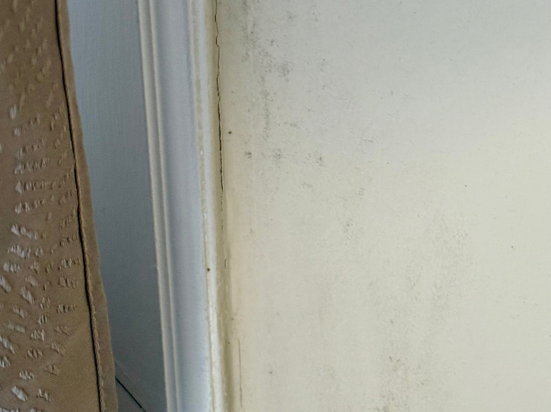 Hôtel Le Cilaos主图