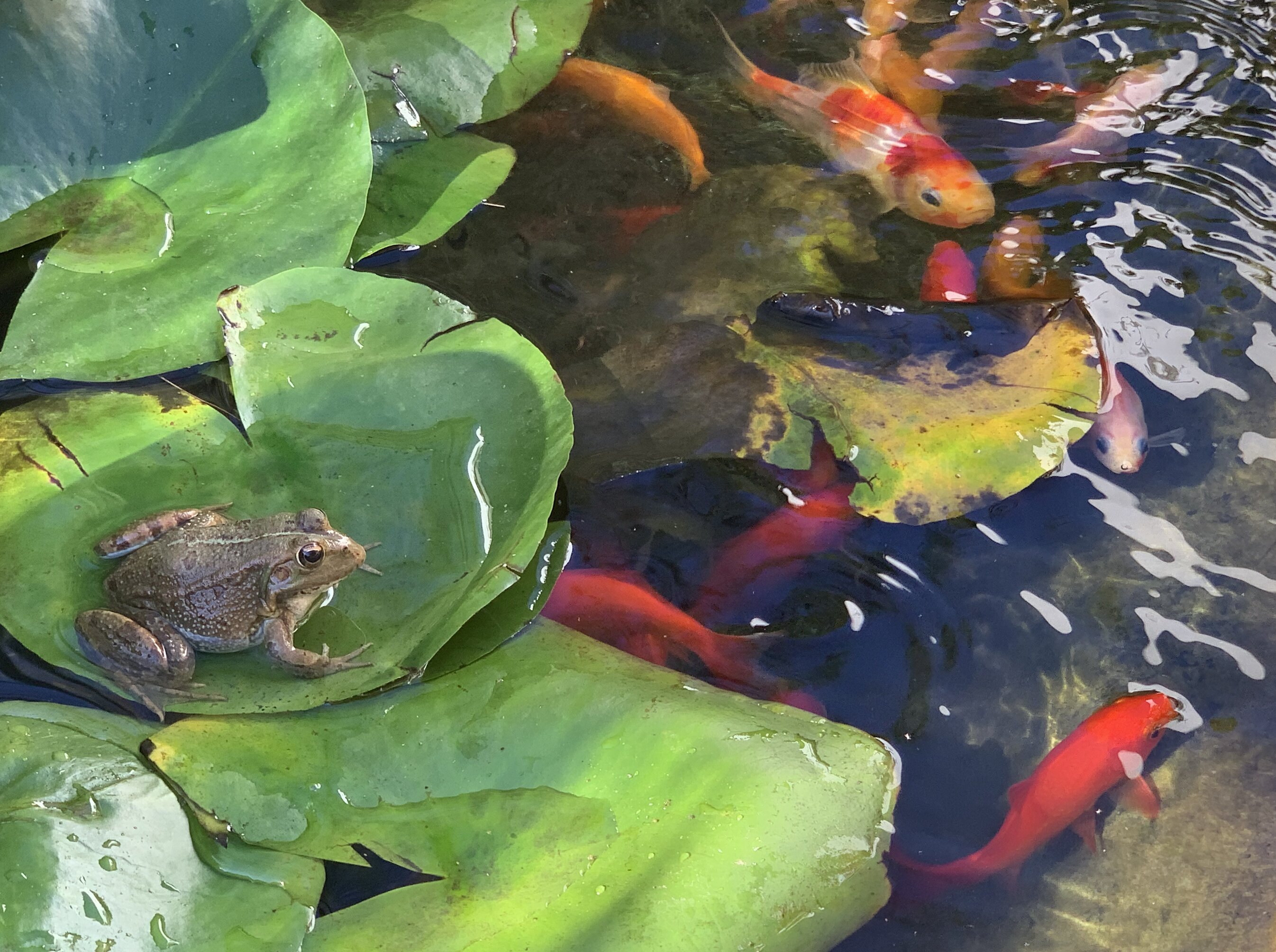 Palm View Guesthouse-浴室