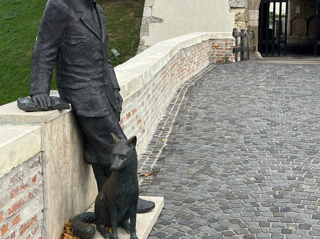 Fekete István szobor, Várköz-Mosonmagyarovar必去景点