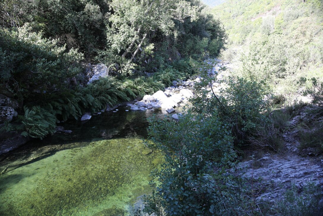 Pont de Noceta-Venaco必去景点