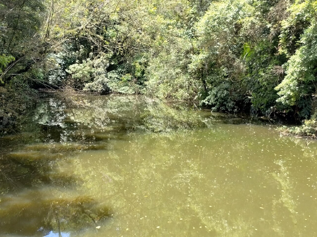 Ópera de Arame-库里提巴必去景点